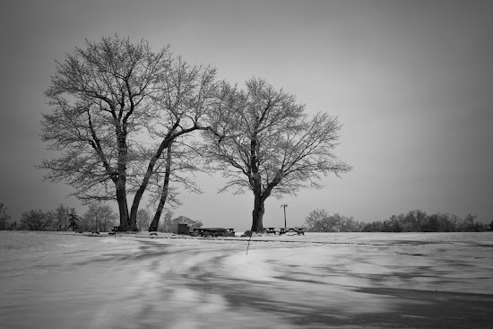 _MG_5195.jpg