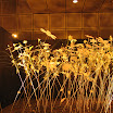 shopping landscape 012.JPG