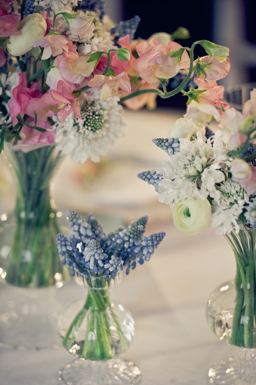 [Beautiful-Blooms-Easter-Flowers-Susa%255B2%255D.jpg]