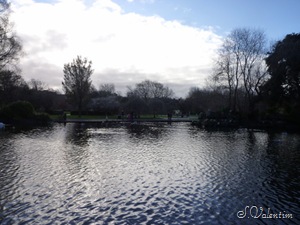 [P1120508%255B5%255D.jpg]