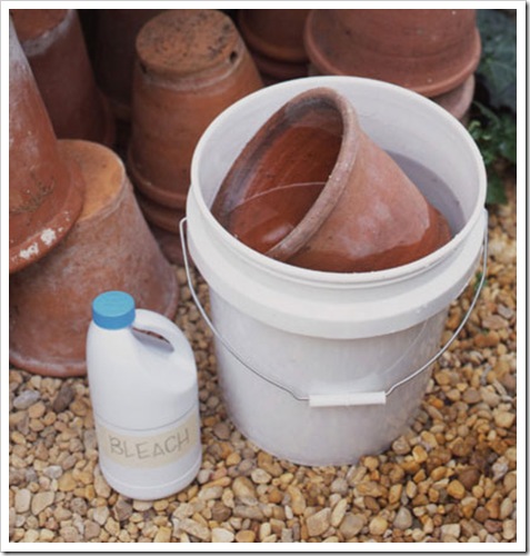 disinfect clay pots