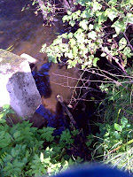 DSC05586.JPG Photo