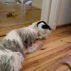 DSCN0253.JPG