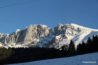 IMG_7998.JPG Photo