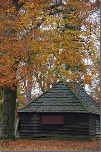 oranje oranje