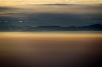 IMG_9292.JPG Photo