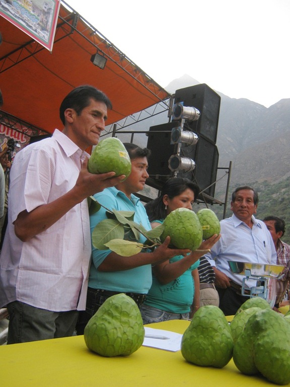 [chirimoya%2520de%2520cumbe%25203%255B3%255D.jpg]