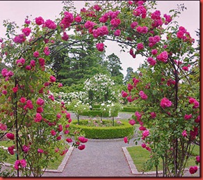 Heaven Gate