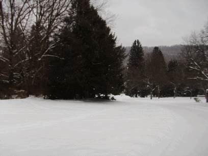 snow gif snow gif