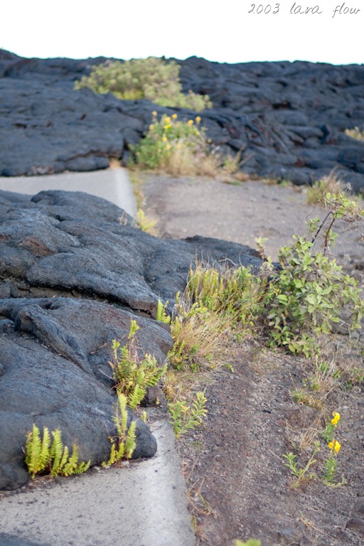 [20121214-IMG_3294%255B14%255D.jpg]