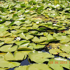 DSCN8272.JPG