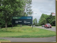 IMG_1919 IMG_1919
