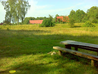 DSC04552.JPG Photo