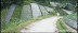 Tawang Mangu Village Trekking DSC07373.jpg