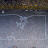 DSCN7030.JPG