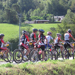 IMG_3781.jpg