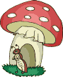 Cogumelos (27)