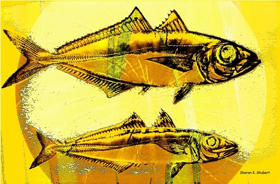 augustgallery7 augustgallery7