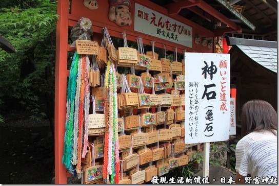 日本-野宮神社，據說只要摸野宮大黑天旁邊的神石「龜石」，即可實現願望。