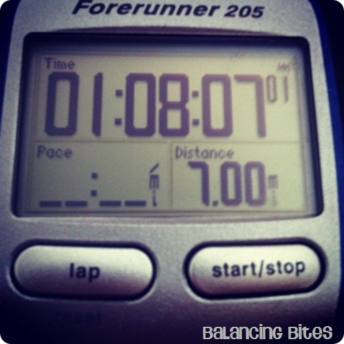 Long Run