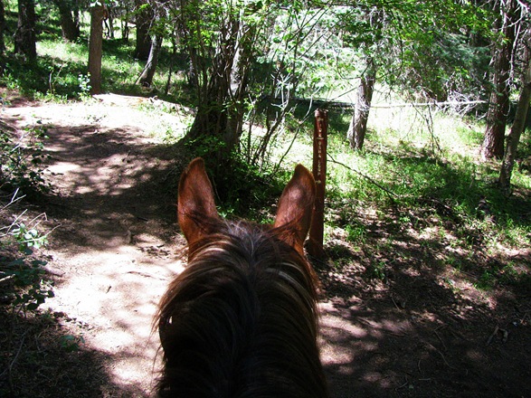 [IMG_2543%255B5%255D.jpg]