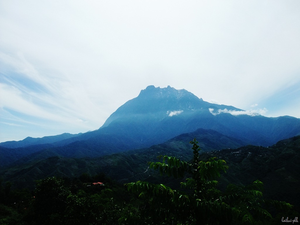 [DSCF85914.jpg]