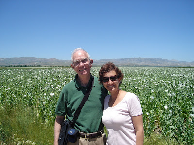 Day 8 : On the way to Pamukkale, we pass thru amazing landscape and wildflower fields.