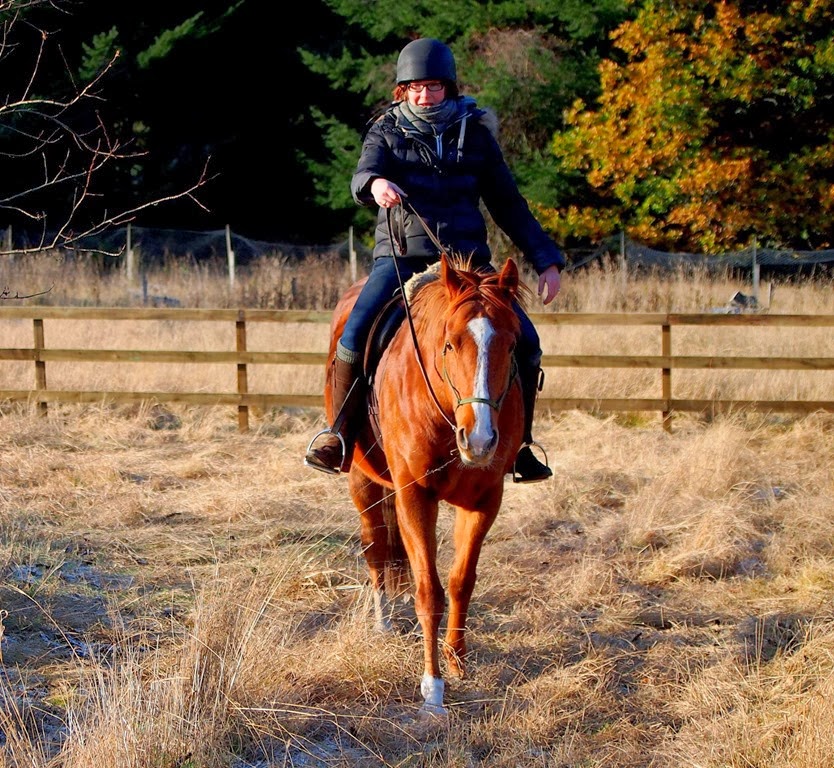 [19%2520Nov%252020%255B3%255D.jpg]