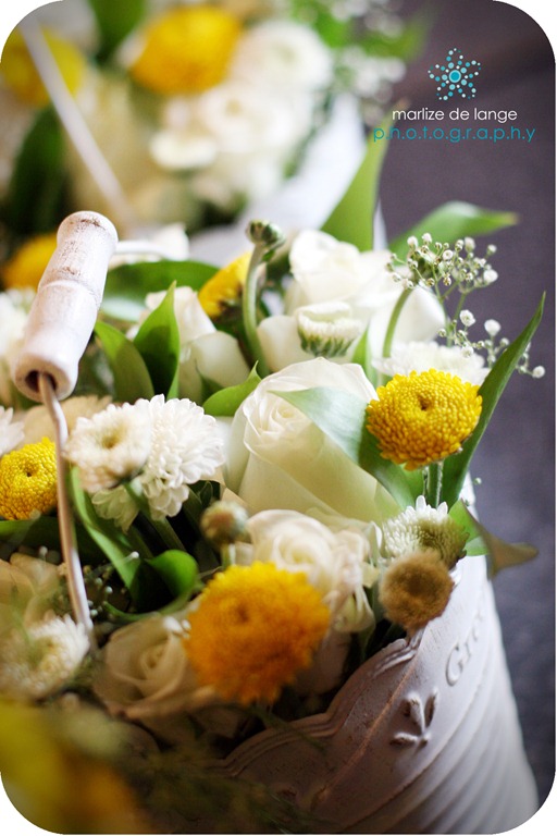 [IMG_0103%2520a%255B5%255D.jpg]