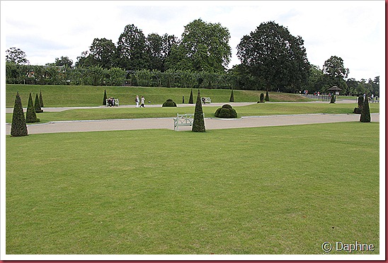 IMG_8956 IMG_8956