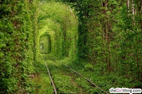 [natures%2520tunne%255B4%255D.jpg]