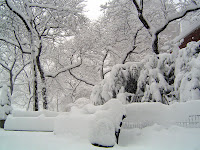 More snow