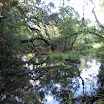 Rainbow Springs State Park-092207-6.JPG