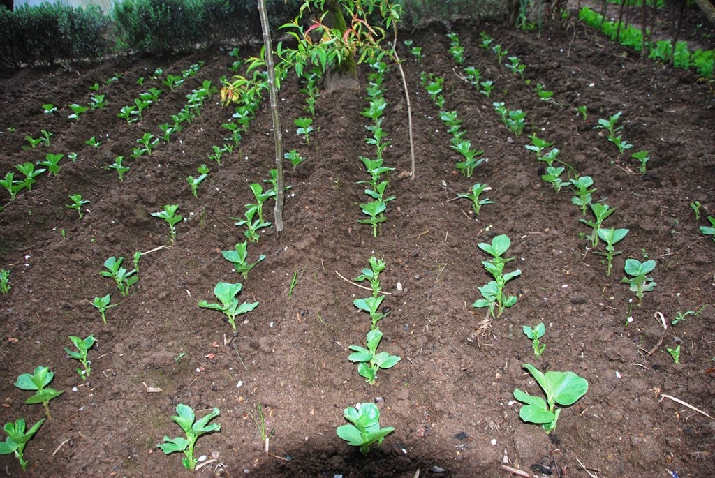 [DSC_0731%255B2%255D.jpg]