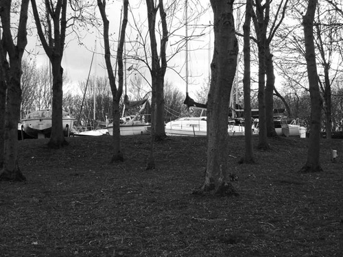 IMGP0220