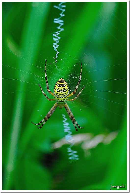 DSC_4734 DSC_4734