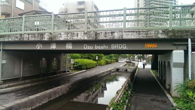 IMAG3538.jpg