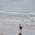 DSC_0237.jpg