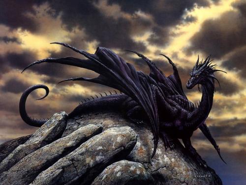 Anime Dragon, Dragons