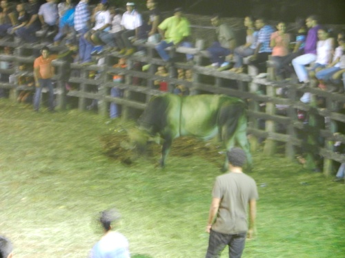 DSCN9985.jpg DSCN9985