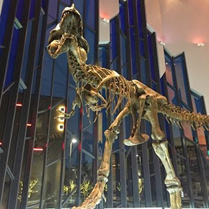 2014-12-17_1418858289