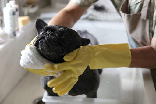 Okay, fine, but make sure you wash every wrinkle under my neck!