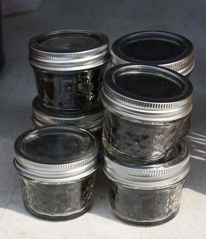 [dried%2520black%2520currant%252C%2520ray%2520tousey%252C%2520rhinebeck%2520farmers%2520market%255B6%255D.jpg]