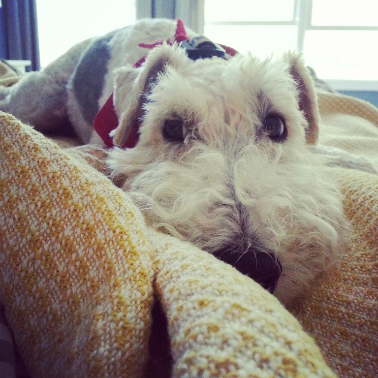 [IMG_20130803_154415%255B4%255D.jpg]