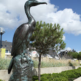 Le cormoran de Concarneau