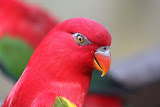 IMG_8527.JPG