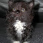 DSCN7725.jpg DSCN7725.jpg
