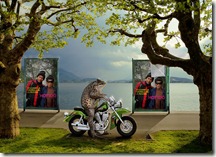 FUNNYWOW_a7ae7bff3bfb37ae