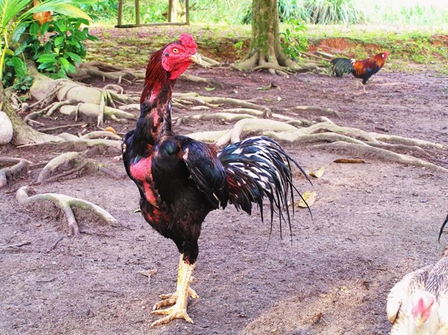 [P1010105%255B3%255D.jpg]