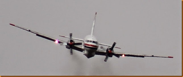 IMG_3980 IMG_3980